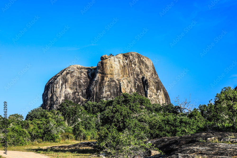 Sri lanka Yala National Park Elephant Rock