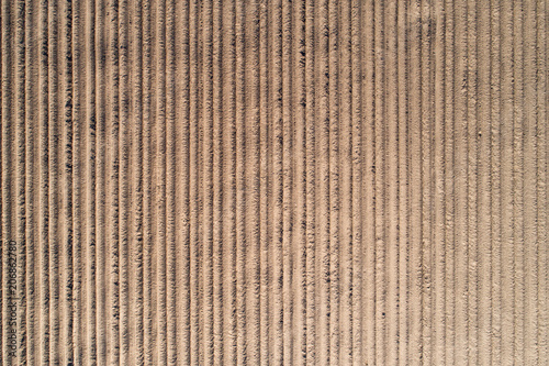 Quadro em tela Agricultural field background aerial