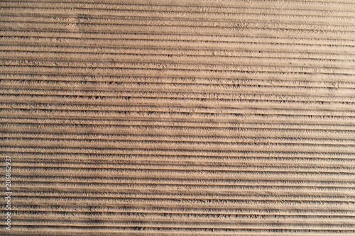 Horizontal lines on agricultural soil view from above. Plowed potato field.