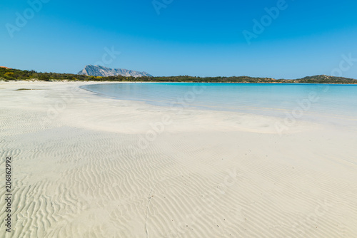 Fototapeta Naklejka Na Ścianę i Meble -  Tavolara island seen from Cala Brandinchi