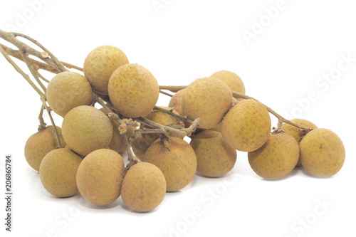 branch of longan isolated on white background