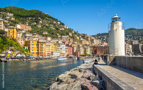 white lighthouse town pier - colored buildings - camogli on sunny day - italian riviera - liguria - Italy photo