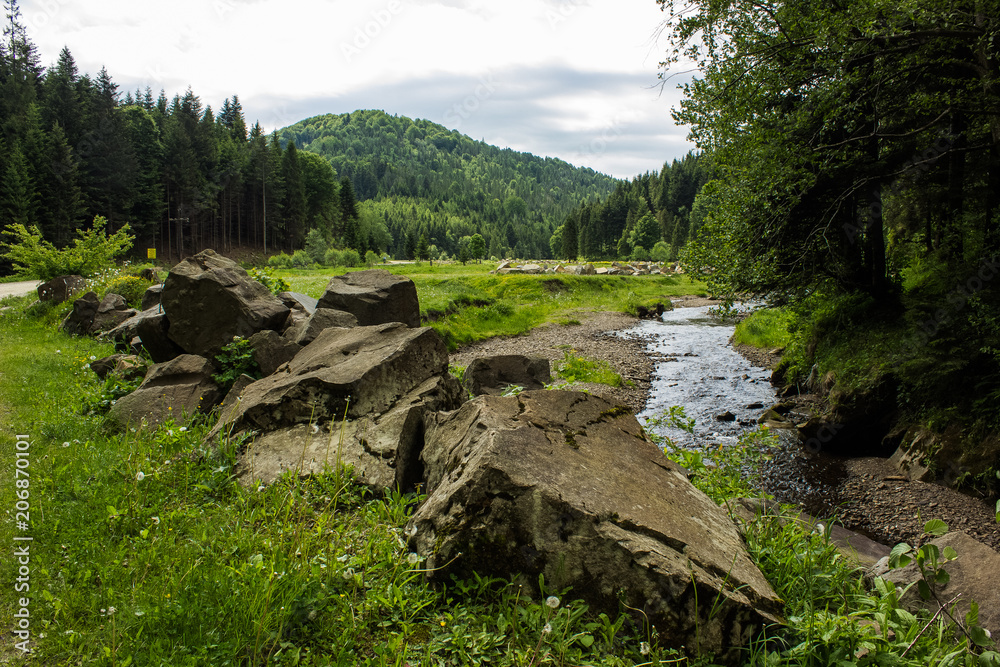 Fototapeta premium Nature forest mountain valley with stream beautiful landscape