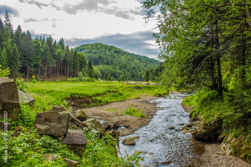 Nature forest mountain valley with stream beautiful landscape