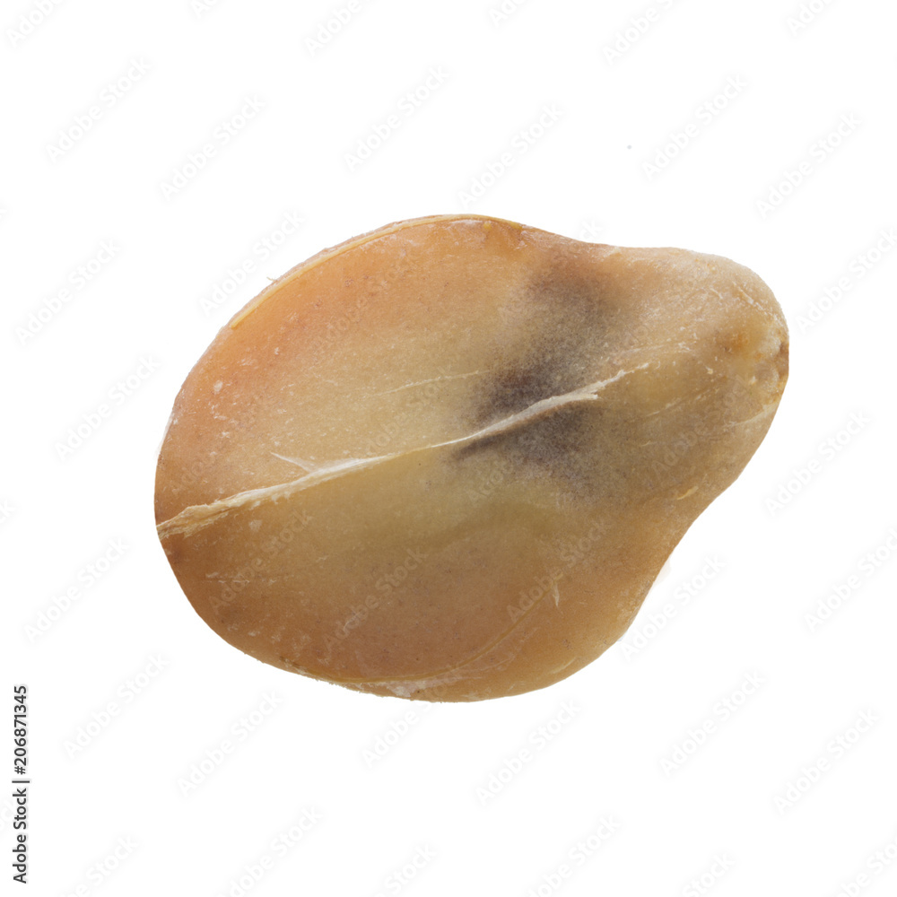 half of shelled salak isolated on white background