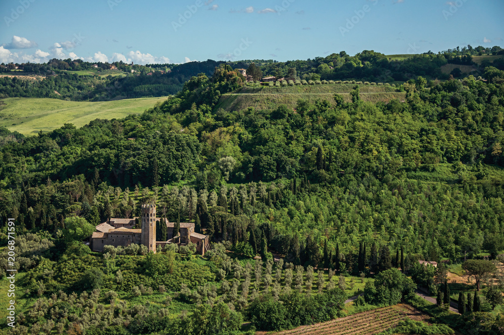 Overview of green hills, vineyards, forests and towered stronghold in a sunny day. In front of the Orvieto town, an ancient, pleasant and well preserved medieval town. Located in Umbria, central Italy