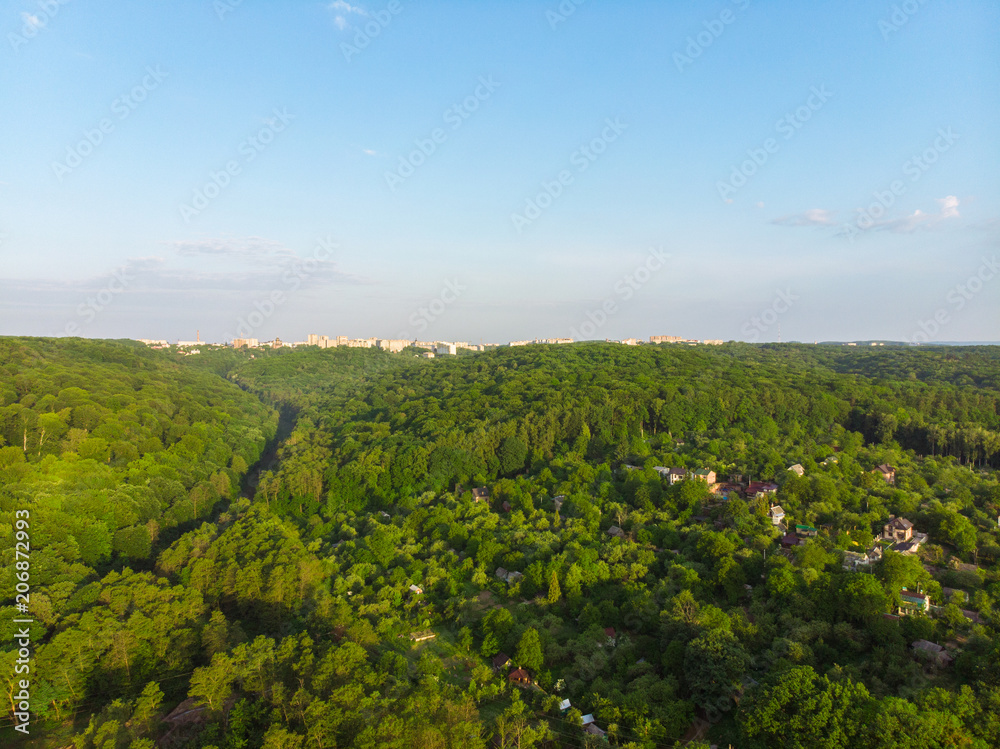aerial view of forest with blue sky