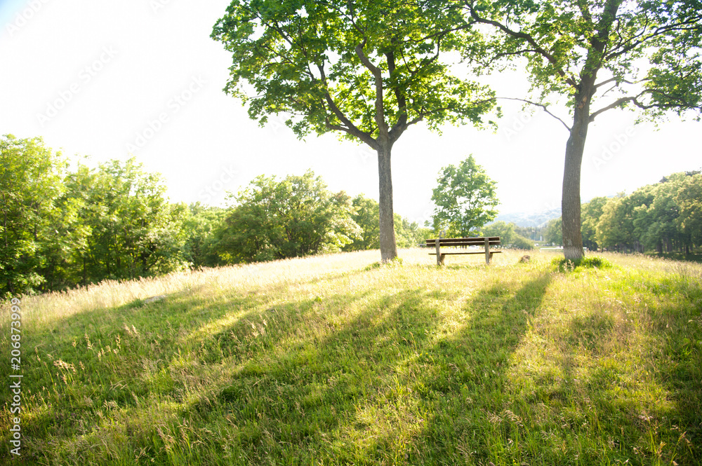 Ein Platz an der Sonne
Ein Platz an der Sonne