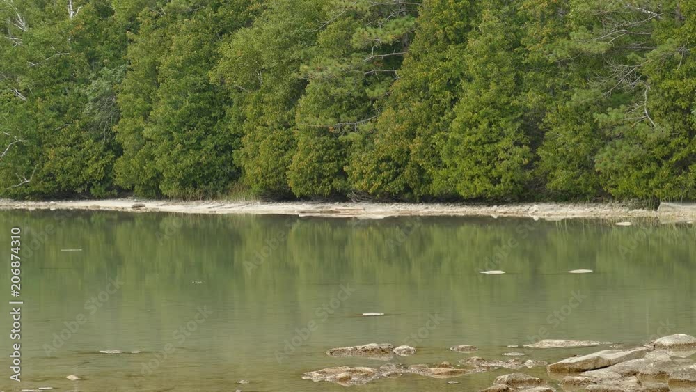 Pine trees aligned on shores of calm lake with mirror like water Pine trees aligned on shores of calm lake with mirror like water