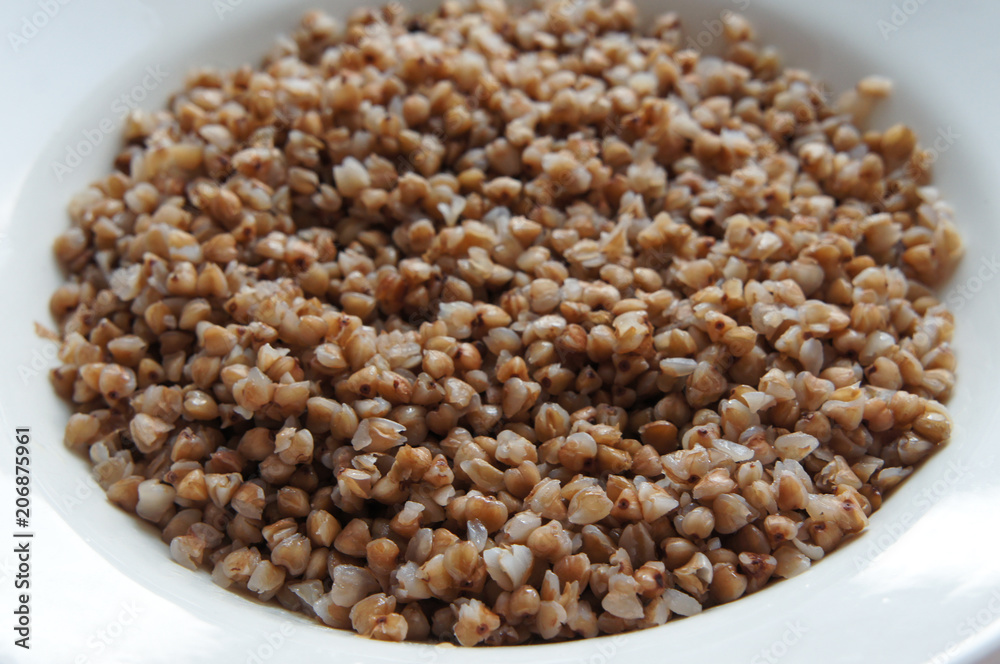 Boiled buckwheat on white plate close up Boiled buckwheat on white plate close up