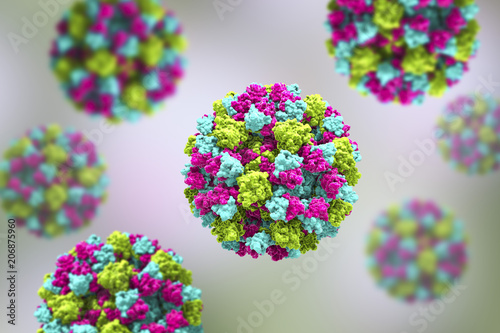 Norovirus, winter vomiting bug, RNA virus from Caliciviridae family, causative agent of gastroenteritis characterized by diarrhea, vomiting, stomach pain. 3D illustration photo