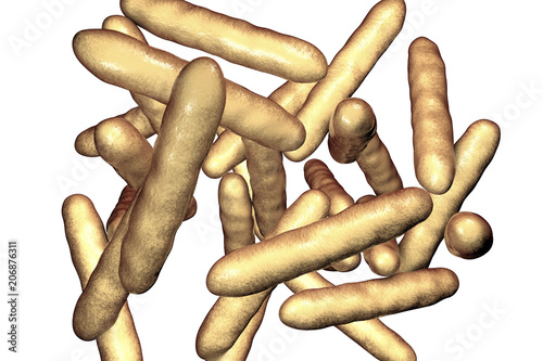 Tropheryma whipplei bacteria, the causative organism of Whipple's disease, 3D illustration photo