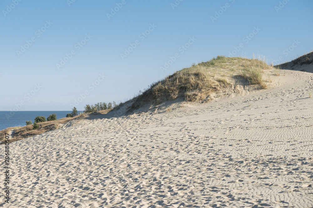 bright sunny weather at sand dunes near the Baltic sea by summer