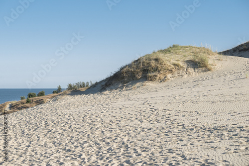 bright sunny weather at sand dunes near the Baltic sea by summer