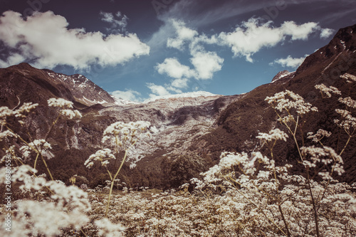 Glacier d'Argentiere photo