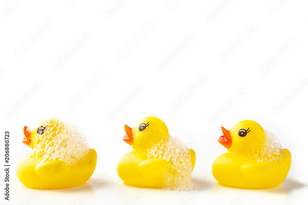 3 Yellow rubber ducks with soap suds on their heads, swimming in a line on white background - obrazy, fototapety, plakaty 