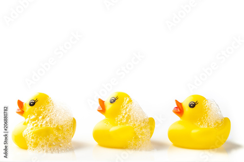 3 Yellow rubber ducks with soap suds on their heads, swimming in a line on white background