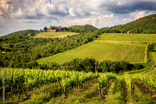 Castles and vineyards of Tuscany  Chianti wine region of Italy