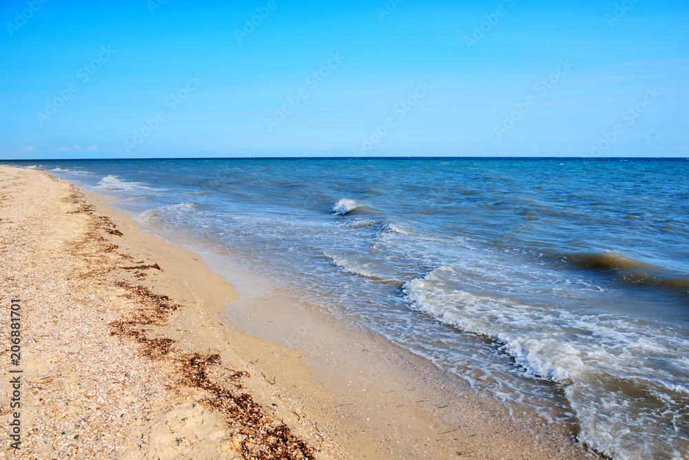 a wild beach and a pigeon sea water on a lovely sunny day a wild beach and a pigeon sea water on a lovely sunny day