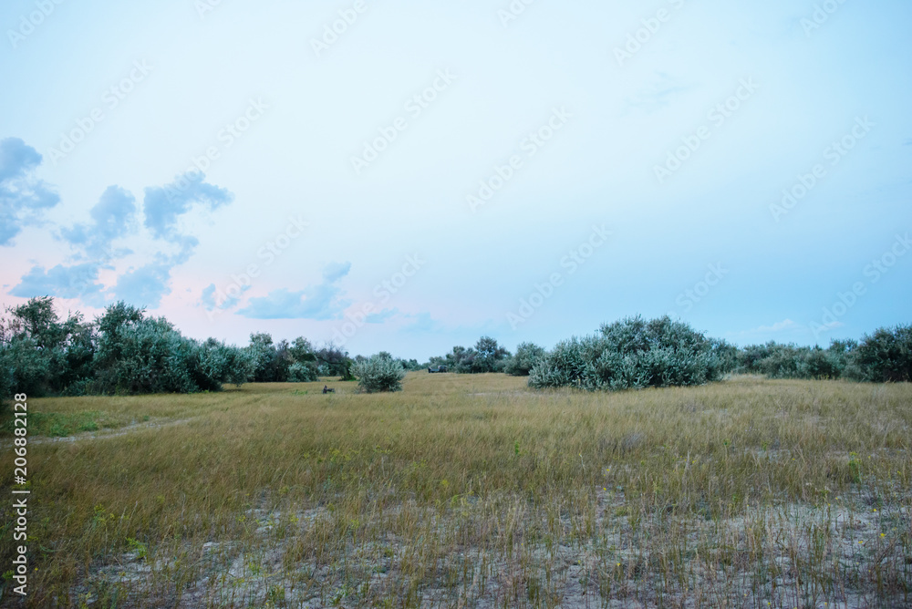 Fototapeta premium Panorama wild, sea beach in the National reserve island