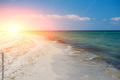 Fototapeta Naklejka Na Ścianę i Meble -  a wild beach and a pigeon sea water on a lovely sunny day