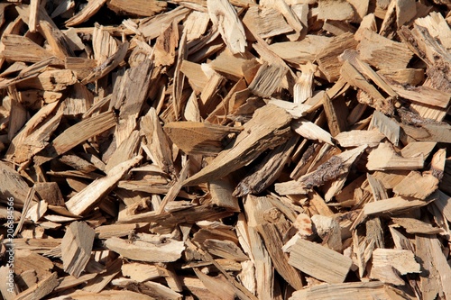 wood chip that made from Agarwood