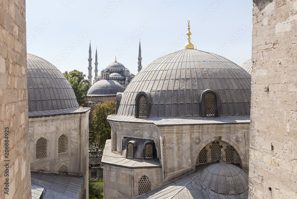 Fototapeta premium Blue mosque from Hagia Sophia