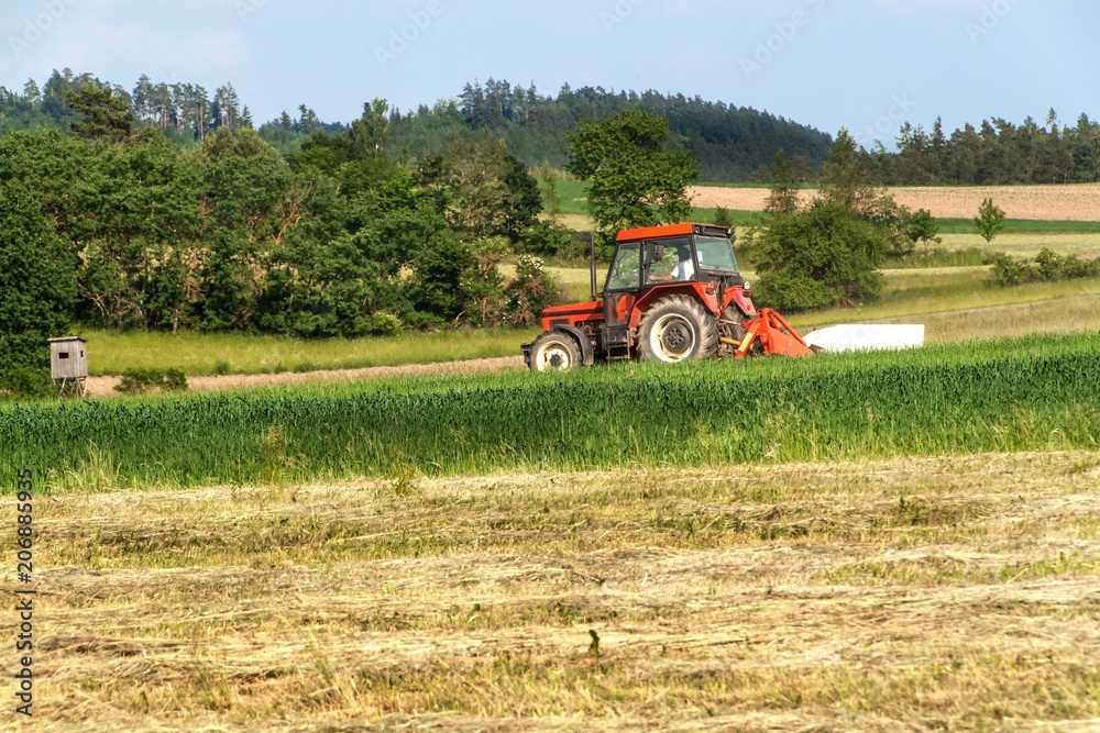 Naklejka premium Old red tractor sails the meadow. Summer work on an agricultural farm.