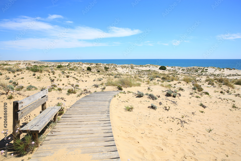 Coto de Donana National Park in Province Huelva, Andalusia, Costa de la Luz, Spain