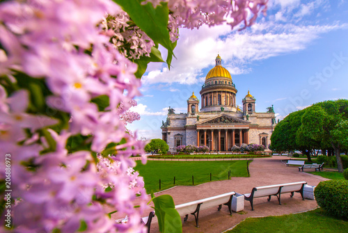 Saint Petersburg. Saint Isaac's Cathedral. Museums of Petersburg. St. Isaac's Square. Petersburg in colors. St. Isaac's Cathedral on a background of lilac. Russia. Flowering of lilac bushes.