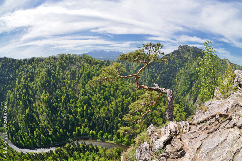 Naklejka premium Widok z Sokolicy. Pieniny.