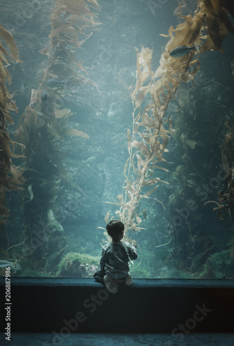 Wonder