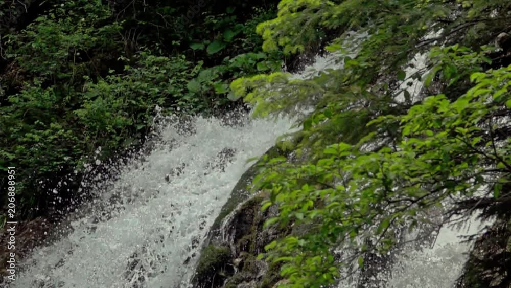 waterfall in the forest. Slow motion
