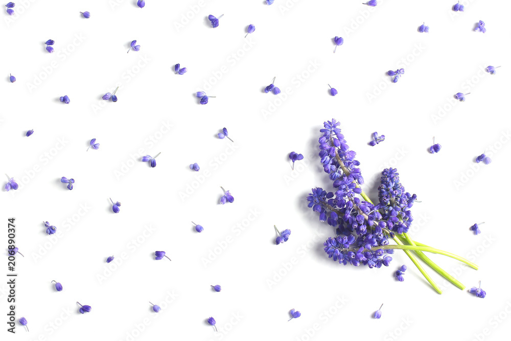 bouquet of hyacinths of color of ultraviolet on a white background. view from above, flat lay, top view