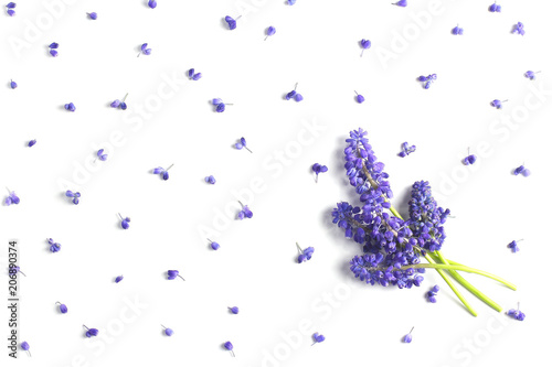 bouquet of hyacinths of color of ultraviolet on a white background. view from above, flat lay, top view