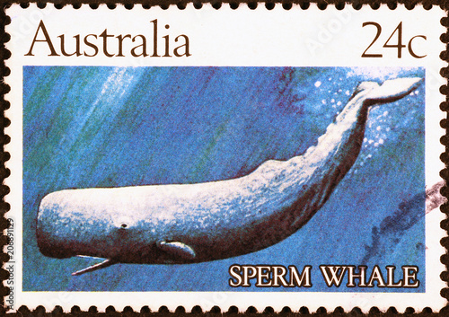 Sperm Whale on australian postage stamp