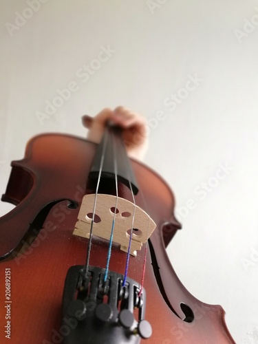 Violin