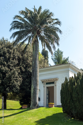 exotic garden with palm Bellagio Italy Como photo