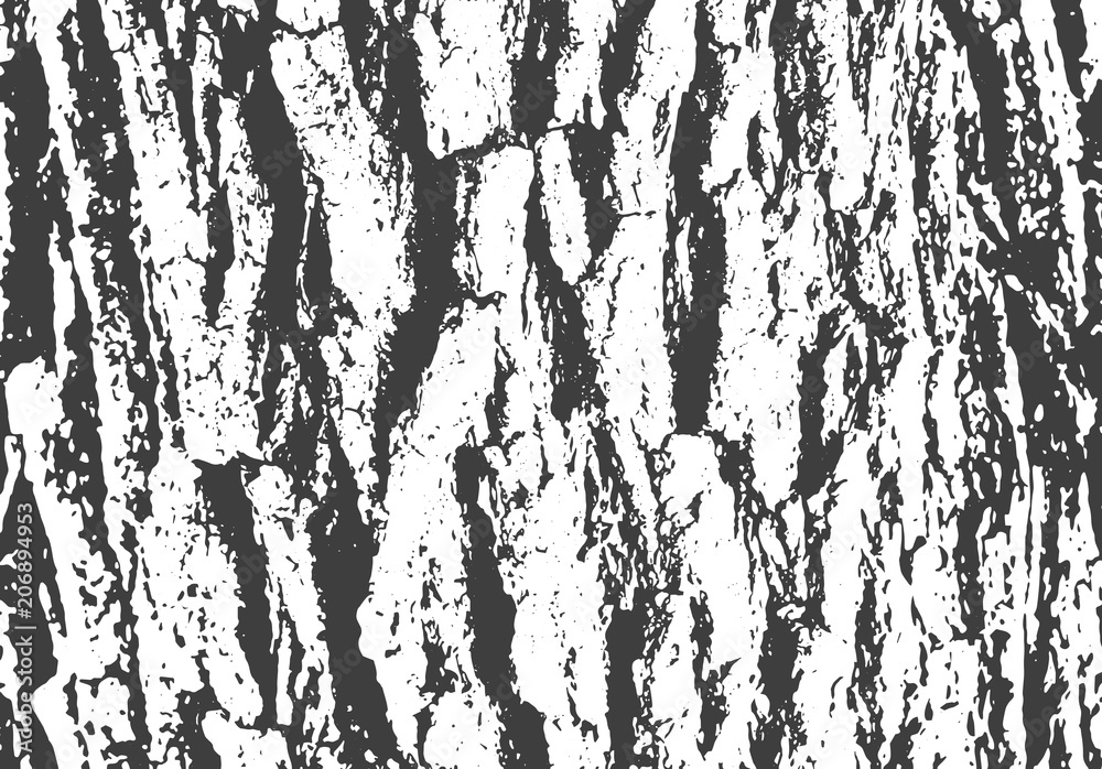 Naklejka premium Wooden bark texture, grunge background.