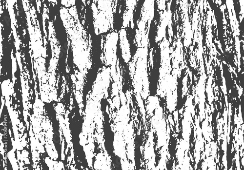 Wooden bark texture, grunge background.
