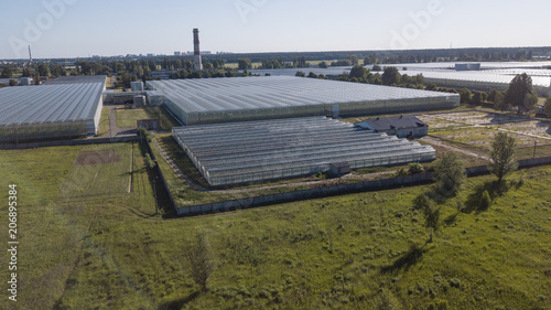 Aerial agricultural view of lettuce production field and greenhouse