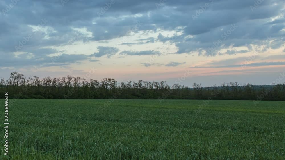 Russia, time lapse. The movement of the thunderclouds over the fields of winter wheat in early spring in the vast steppes of the Don. Russia, time lapse. The movement of the thunderclouds over the fields of winter wheat in early spring in the vast steppes of the Don.