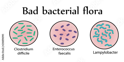 Intestinal bacterial flora. Bad bacteria. Vector illustration