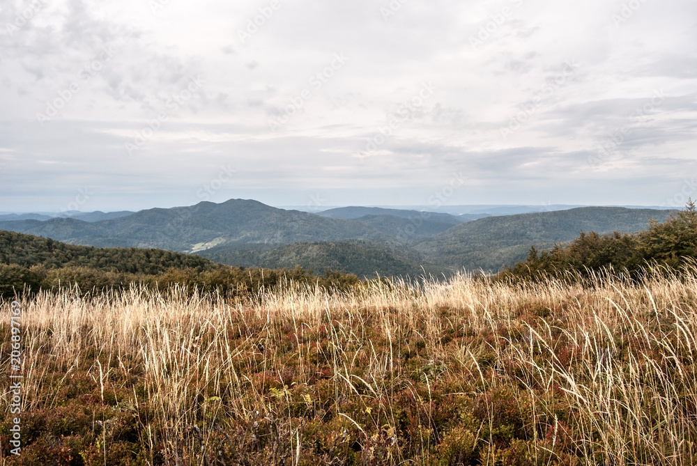 Obraz premium view from Male Jaslo hill in autumn Bieszczady mountains in Poland