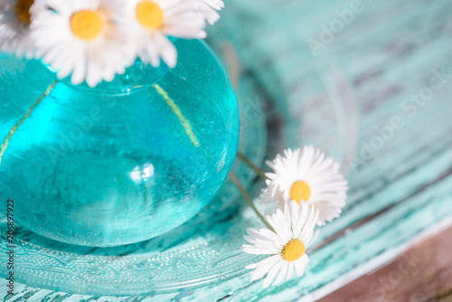 Daisies in a blue vase, chamomile photo