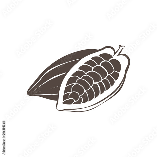 vector black cacao beans on white background