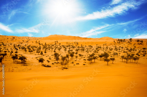 Desert at Al Hamra with desert trees & beautiful blue sky is visible behind