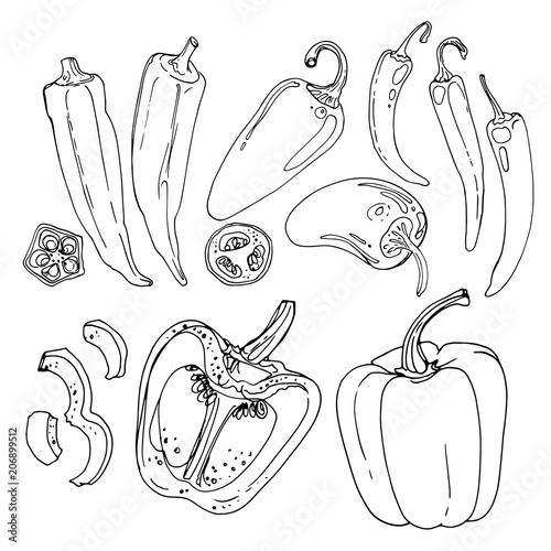 Okra, Jalapeno Pepper, hot pepper, paprika drawn by a line on a 
