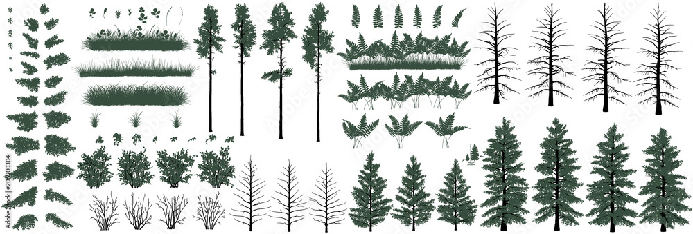 Fototapeta premium Duży zestaw realistycznych obiektów naturalnych: drzew, krzewów, ziół i trawy