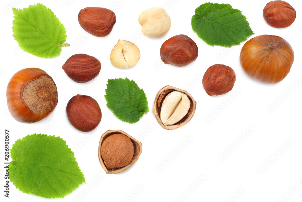 hazelnuts with leaves isolated on white background. top view hazelnuts with leaves isolated on white background. top view